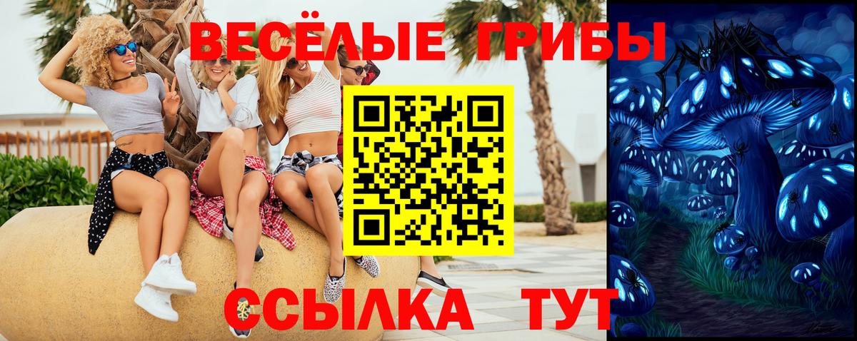 Муром  Галлюциногенные грибы мухоморы  Вход с VPN  Псилоцибиновые грибы MAGIC MUSHROOMS 
